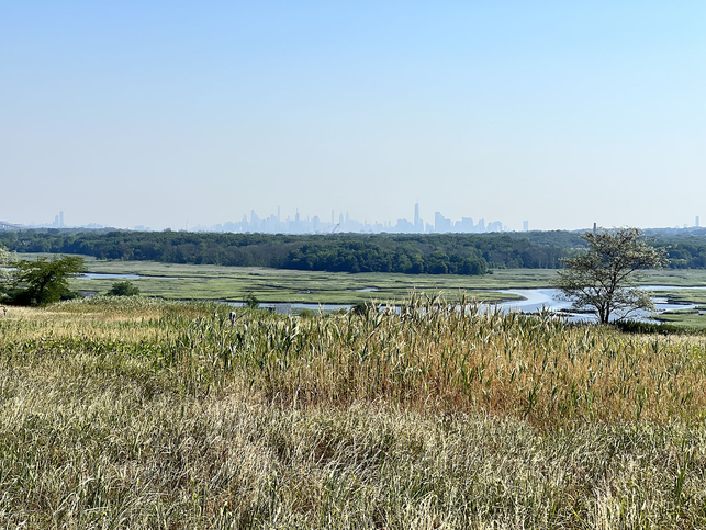 Freshkills Park in Forthcoming Exhibition at MoMA